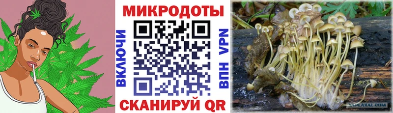 Галлюциногенные грибы Psilocybine cubensis  Воткинск 